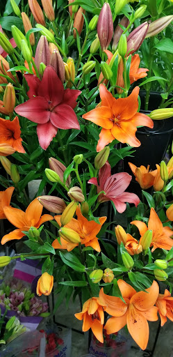 Florist «The Magic Garden», reviews and photos, 2132 E Henrietta Rd, Rochester, NY 14623, USA