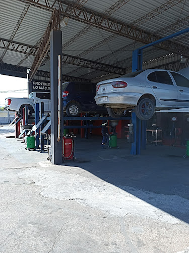 Auto Punto - Gomeria/Alineación /Lubricentro/Neumáticos/Filtros/Baterias - Tienda de neumáticos