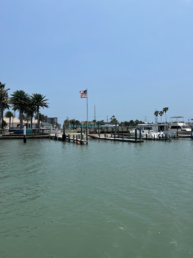 Explore tattoo ideas for three siblings, creative tattoo ideas in South Padre Island, available at Peggys Temporary & Permanent Tattoos