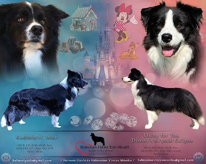 Borders From The Heart Border Collie Kennel