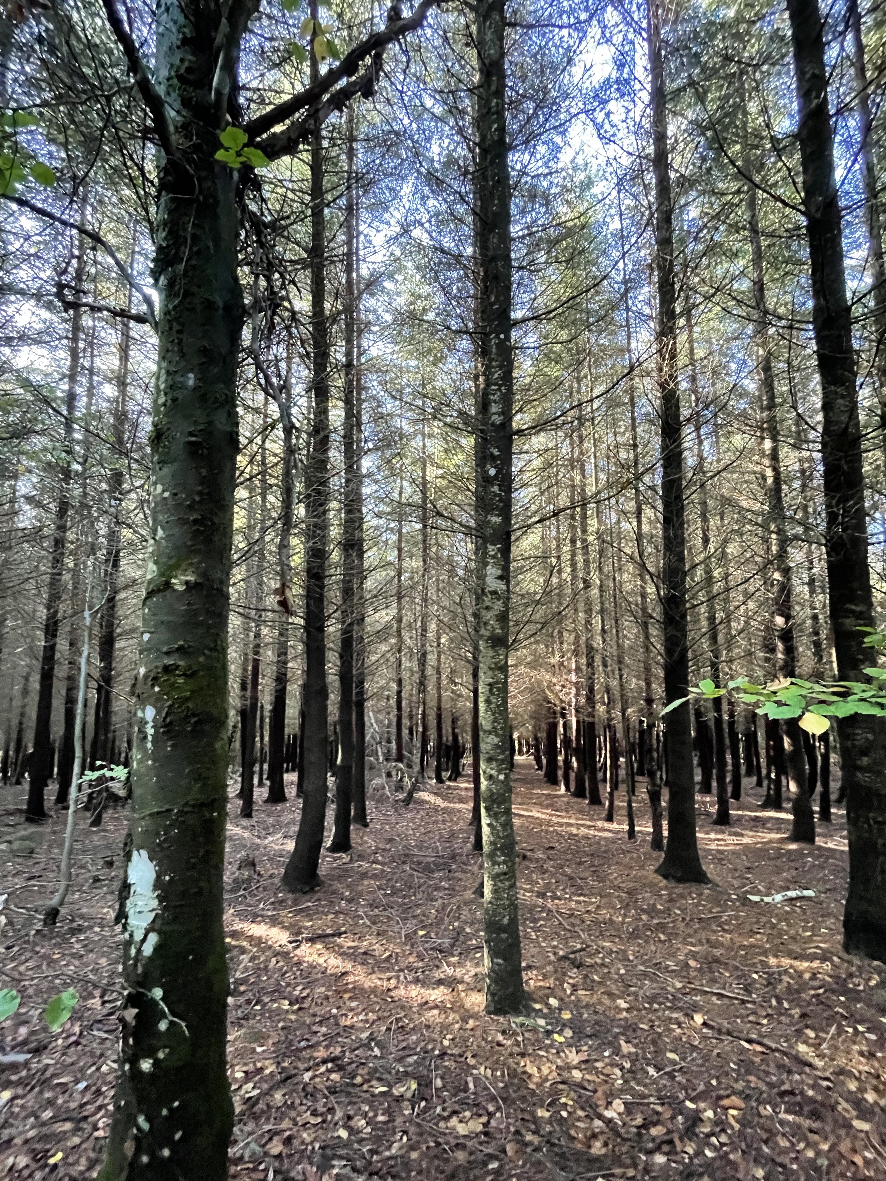 Photo n° 6 de l'avis de Caro.e fait le 23/10/2022 à 16:41