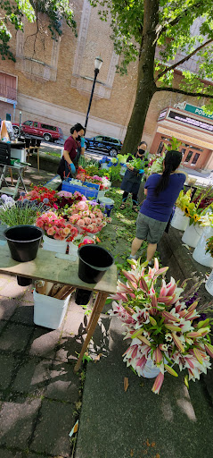 Park «South Park Blocks», reviews and photos, SW Park Ave, Portland, OR 97204, USA