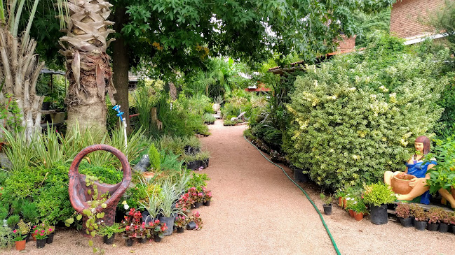 Vivero La Flora - Centro de jardinería