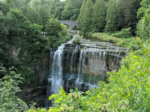 Webster Falls (Reservations Required)
