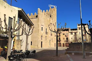 Castell Palau de la Bisbal d’Empordà image