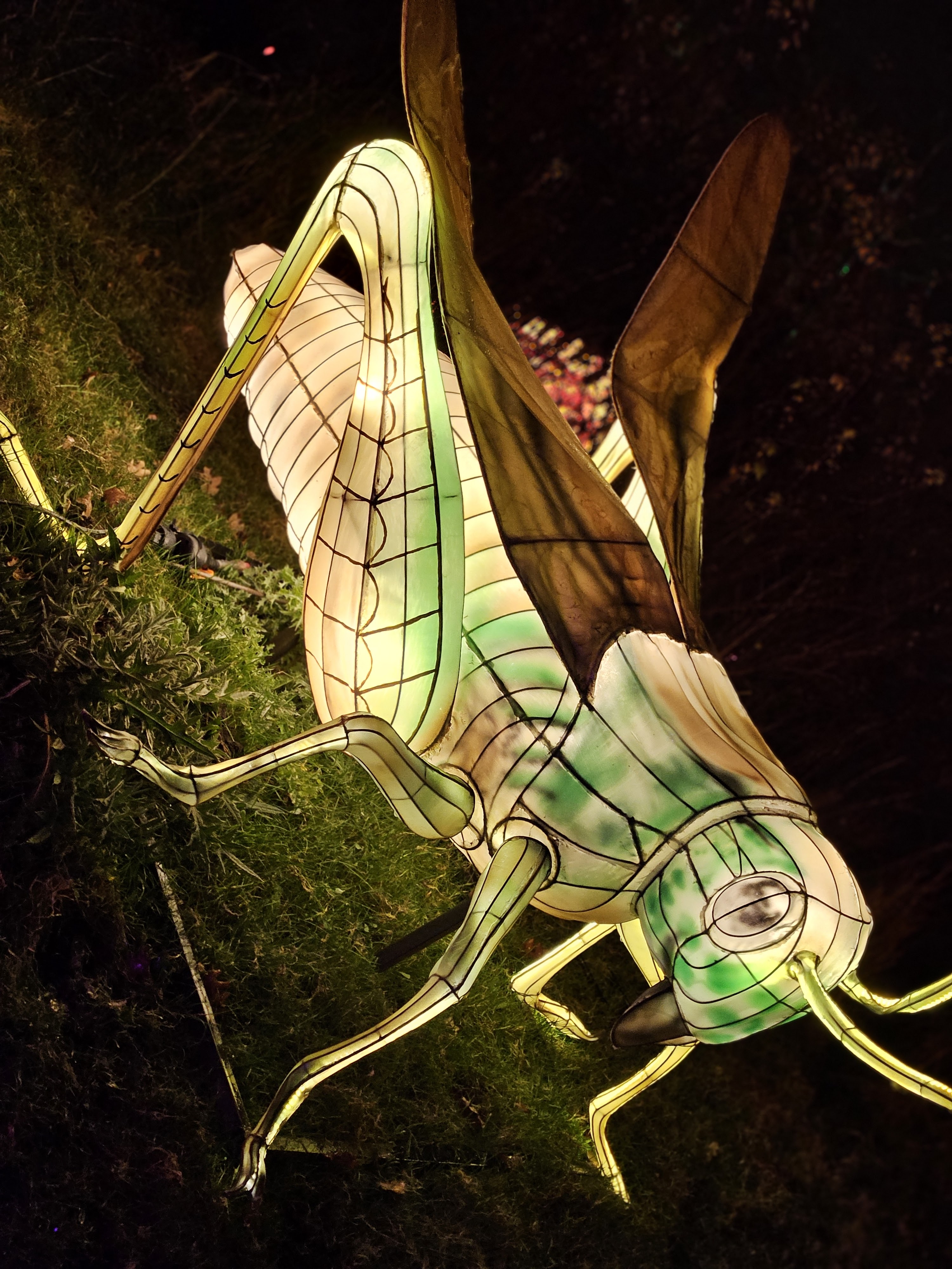 Photo n° 4 de l'avis de Virginie.e fait le 19/12/2023 à 21:09