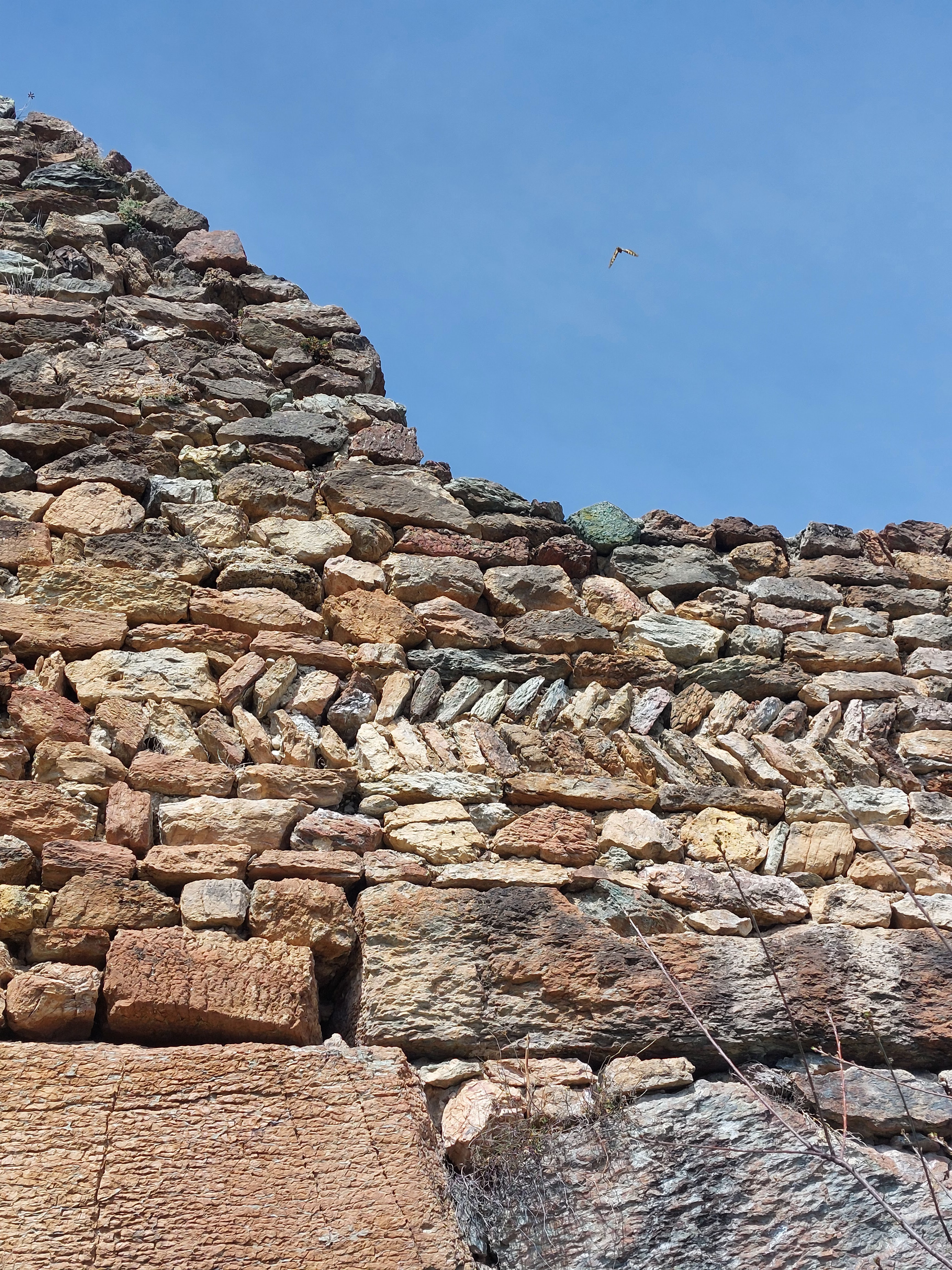 Photo n° 5 de l'avis de elodie.a fait le 24/03/2024 à 13:04