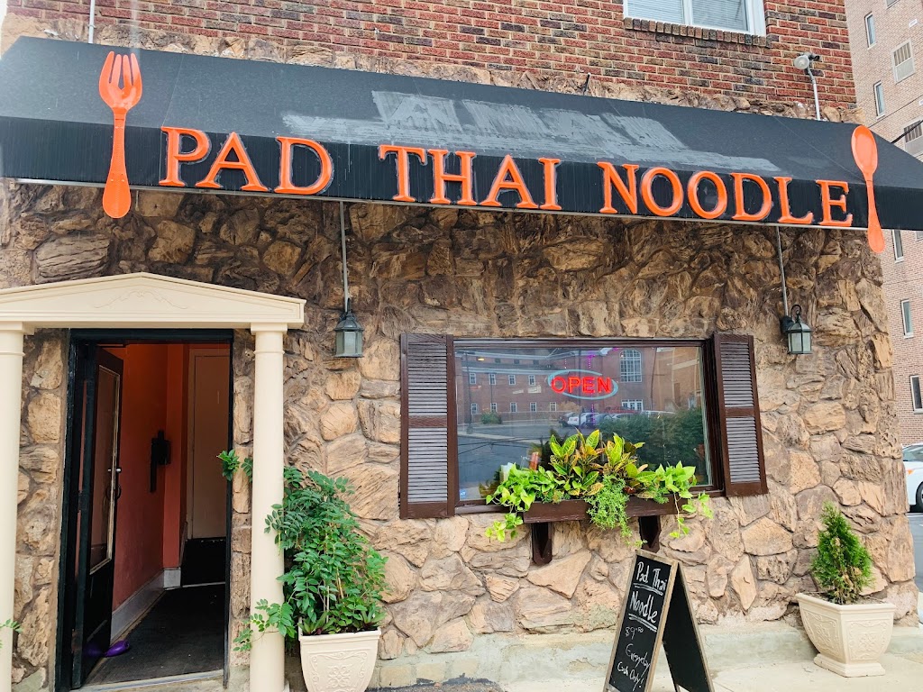 Pad Thai Noodle 15213