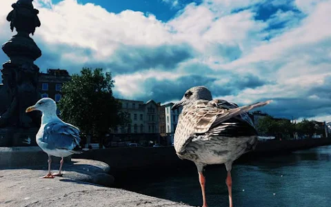 Dublin Tourism Centre image