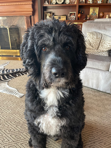 3810 River Run Dr, Birmingham, AL 35243, USA