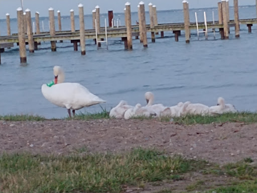 Park «Walter & Mary Burke Park», reviews and photos, 36300 Front St, New Baltimore, MI 48047, USA