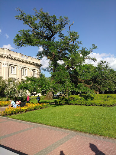 Performing Arts Theater «Julie Rogers Theatre», reviews and photos, 765 Pearl St, Beaumont, TX 77701, USA