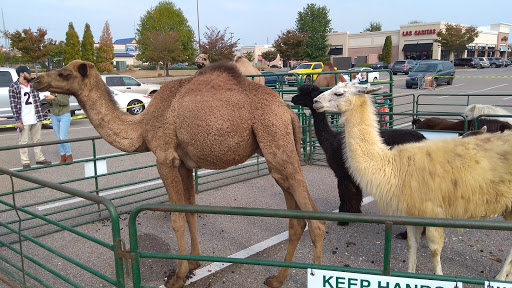 Home Improvement Store «The Home Depot», reviews and photos, 2710 Legends Pkwy, Prattville, AL 36066, USA