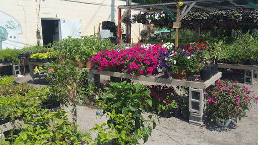 Produce Market «Jiggs Produce», reviews and photos, 5301 Valley Station Rd, Louisville, KY 40272, USA