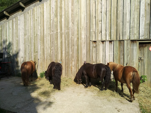 Ferme le Chiblin à Le Bonhomme