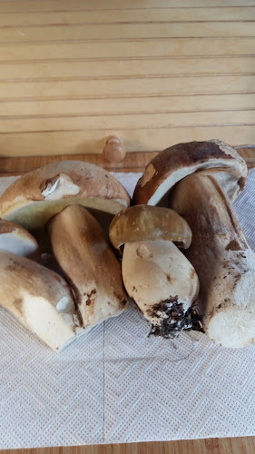 Sopron, Soproni út 18, 9408