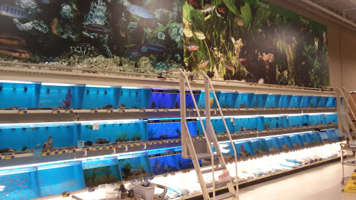 Pet Supply Store «PetSmart», reviews and photos, 3132 Vestal Pkwy E, Vestal, NY 13850, USA