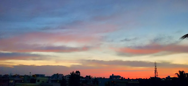 Google Maps image 13