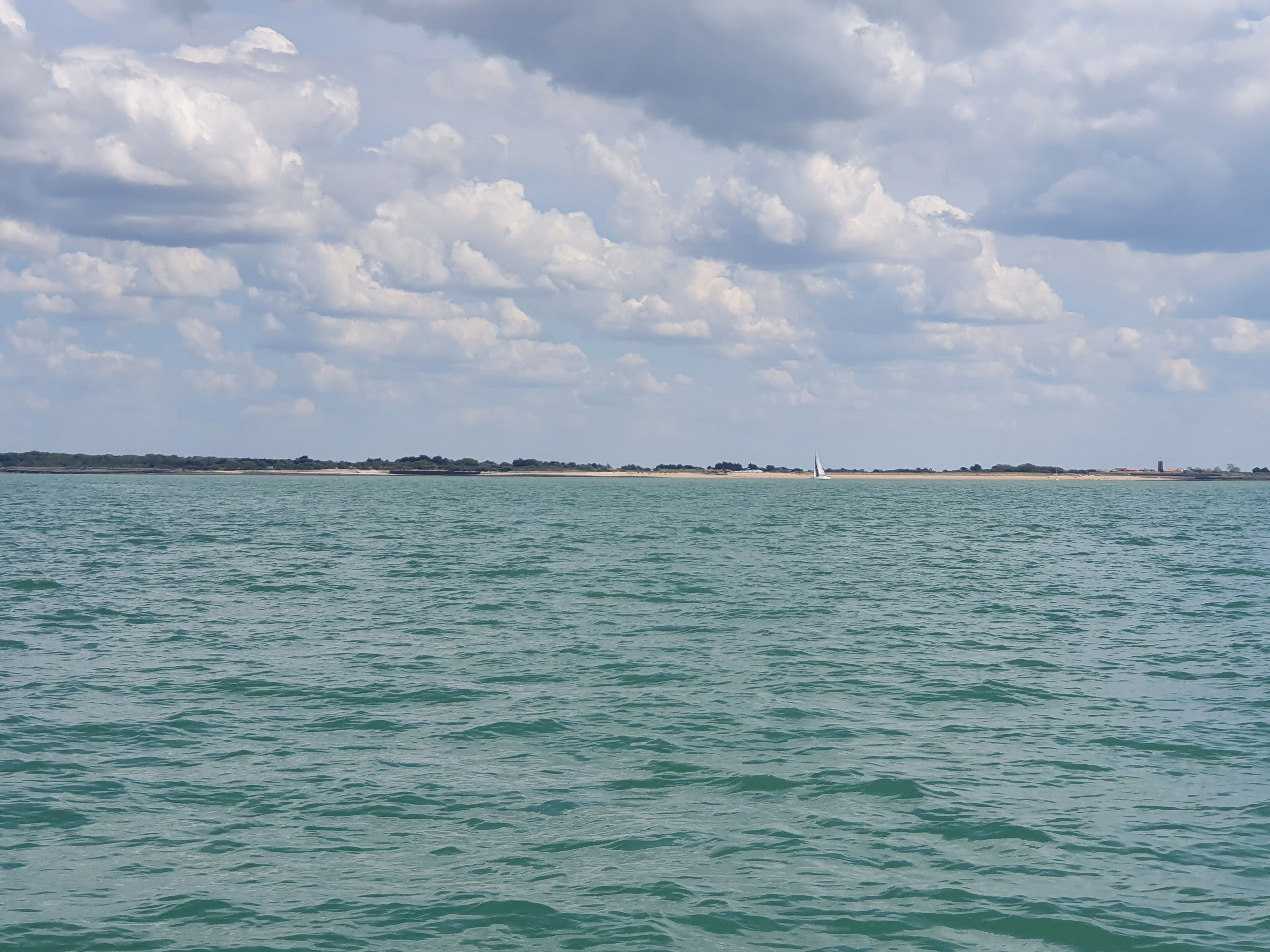 Photo n° 11 de l'avis de Ann.E fait le 17/08/2022 à 13:15