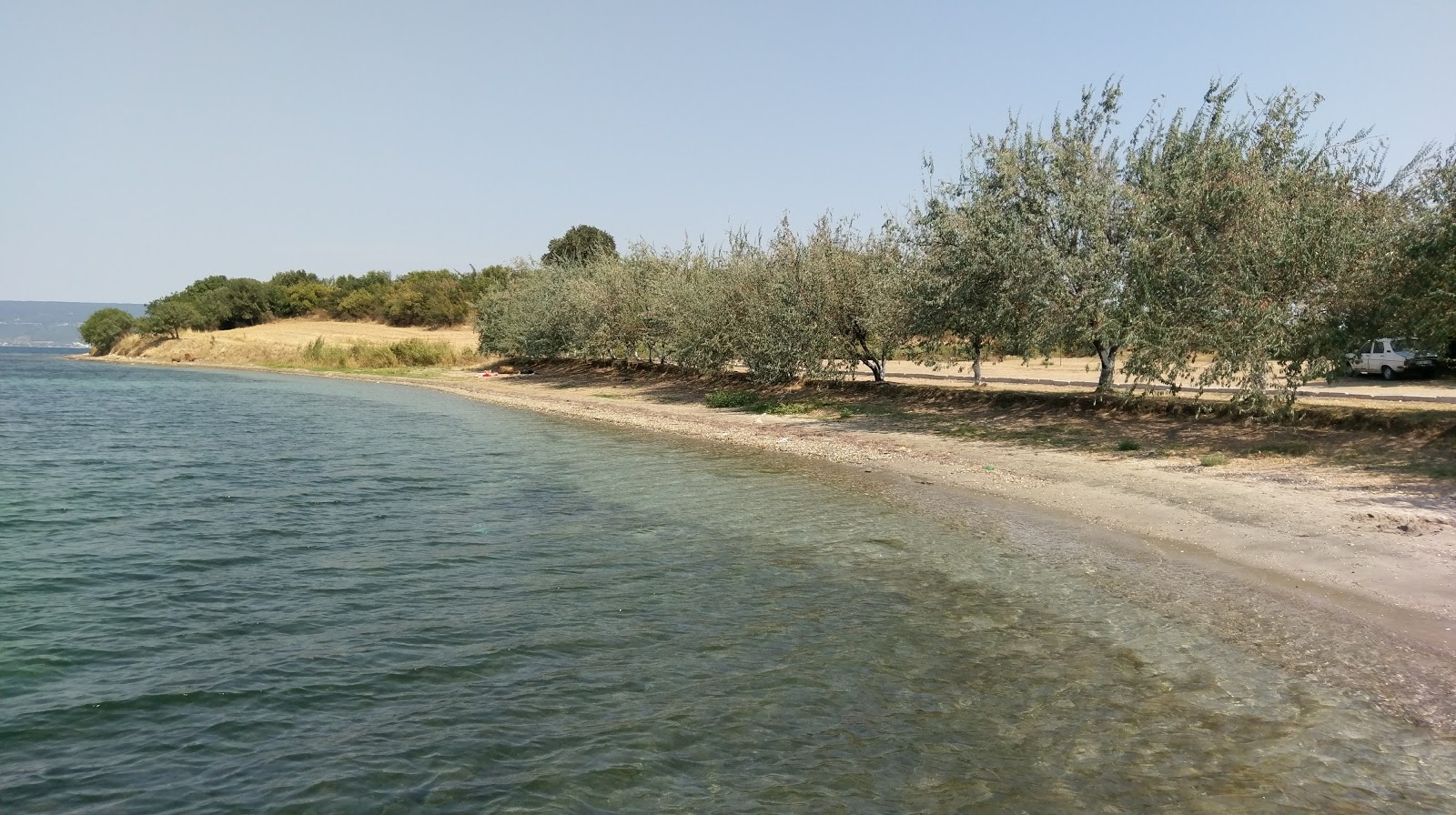 Photo de Kangirli beach avec un niveau de propreté de assez propre