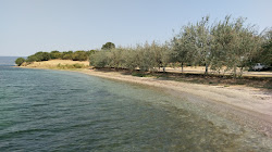 Photo de Kangirli beach avec un niveau de propreté de assez propre