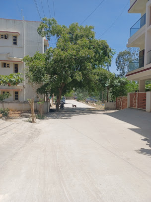 Google Maps image 8