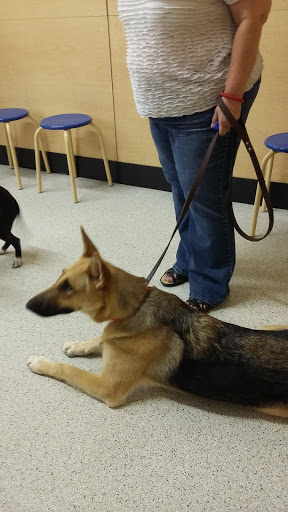 Pet Supply Store «PetSmart», reviews and photos, 1810 Cumming Hwy, Canton, GA 30114, USA