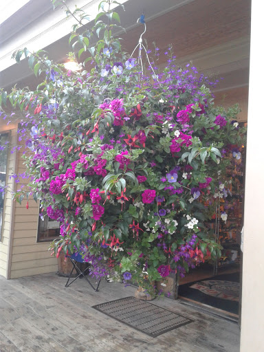 Toy Store «Peak-A-Boo Toys LLC», reviews and photos, 117 S Main St, Breckenridge, CO 80424, USA