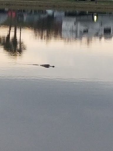 Boat Ramp «South Bay RV Park», reviews and photos, 100 Levee Rd, South Bay, FL 33493, USA