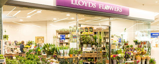 Lloyds Flowers