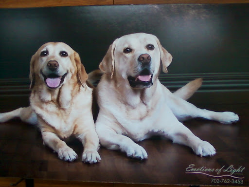 Pet Supply Store «Paw Prints Pet Supplies», reviews and photos, 1000 N Green Valley Pkwy, Henderson, NV 89074, USA