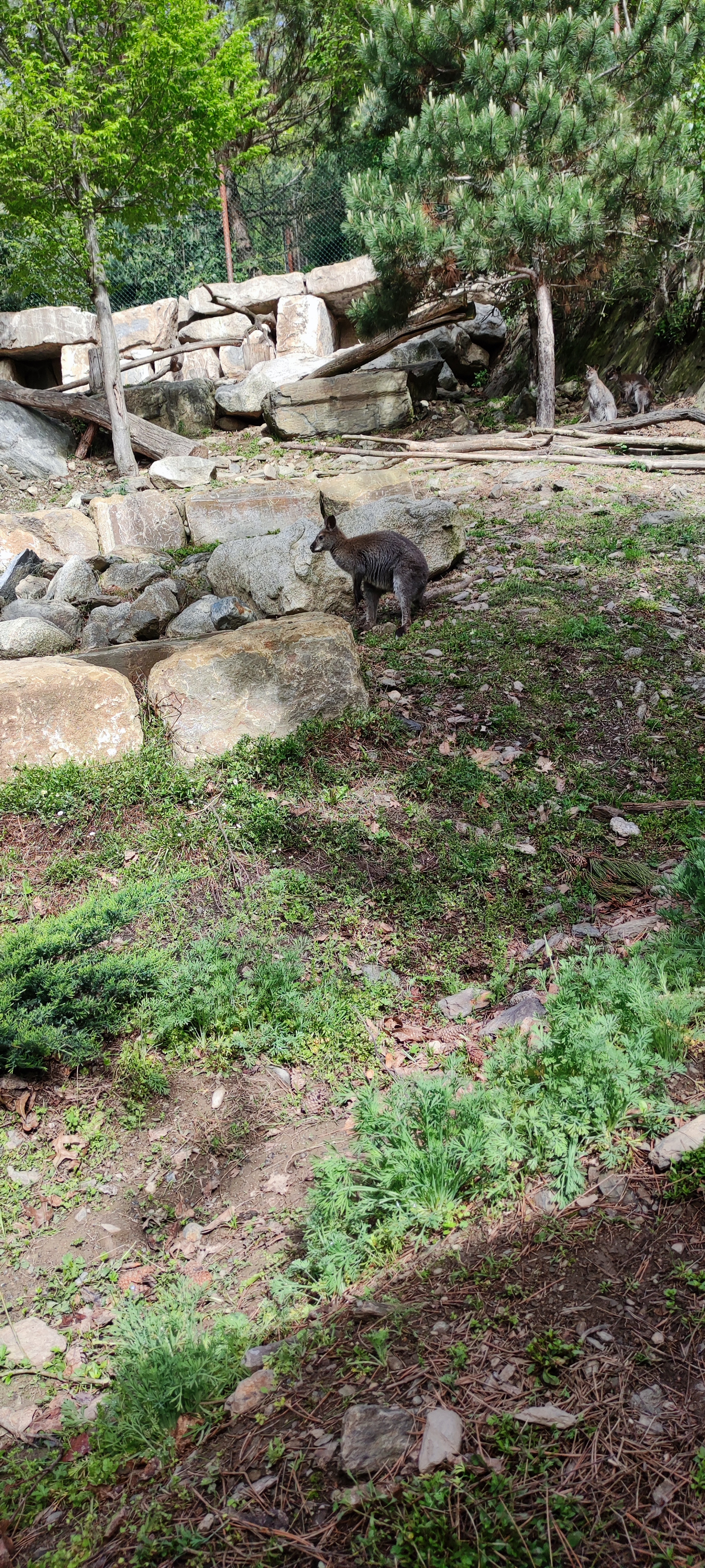 Photo n° 13 de l'avis de Aurélie.i fait le 15/07/2021 à 17:00