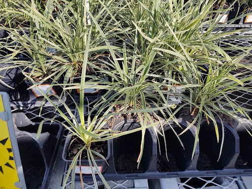 Shopping Mall «Westgate Shopping Center», reviews and photos, 1900 Veterans Blvd, Dublin, GA 31021, USA