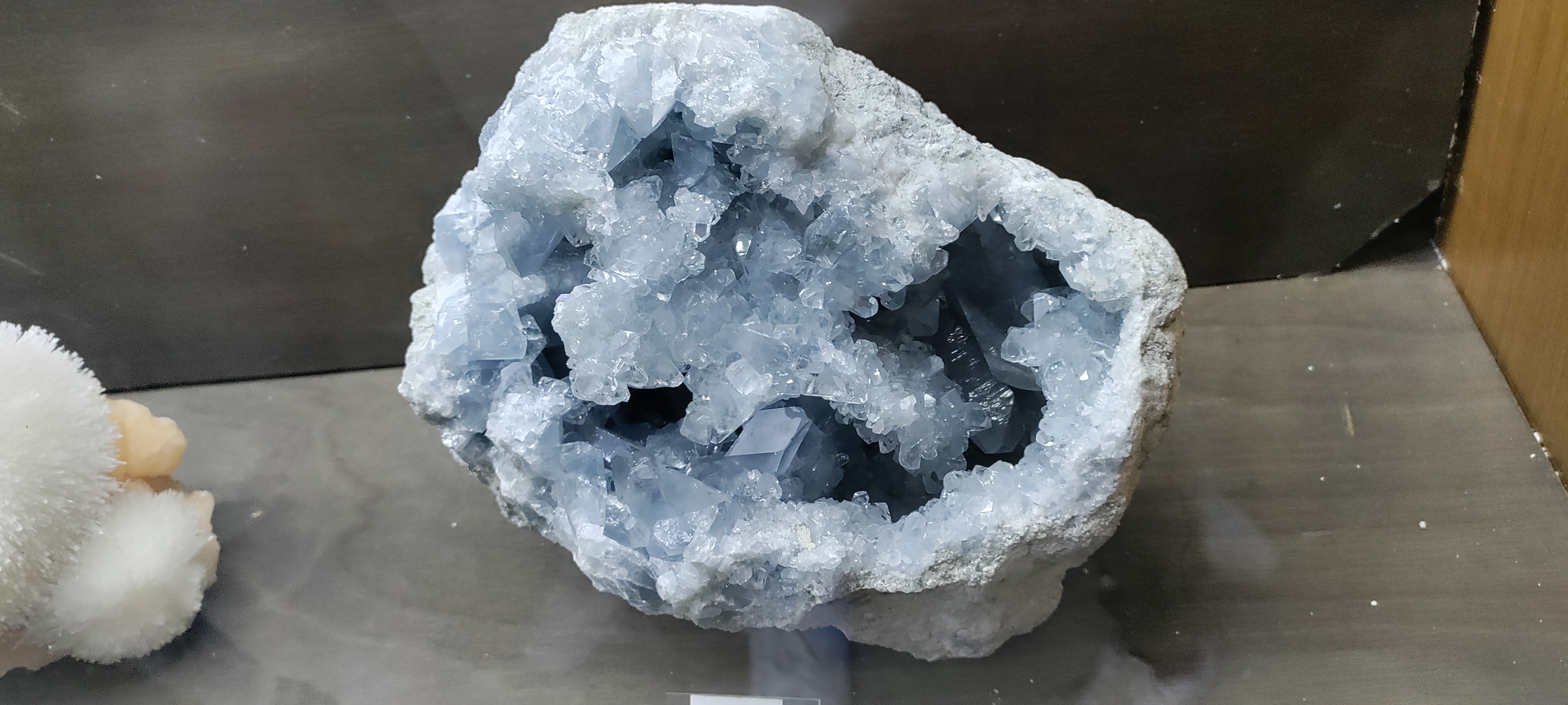 Photo n° 5 de l'avis de Laëtitia.e fait le 20/04/2023 à 16:26