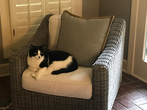 Interior Designer «Restoration Hardware Outlet», reviews and photos, 241 Fort Evans Rd NE #841, Leesburg, VA 20176, USA