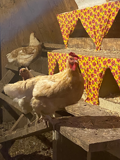 Home Improvement Store «Tractor Supply Co.», reviews and photos, 144 US-202, Ringoes, NJ 08551, USA