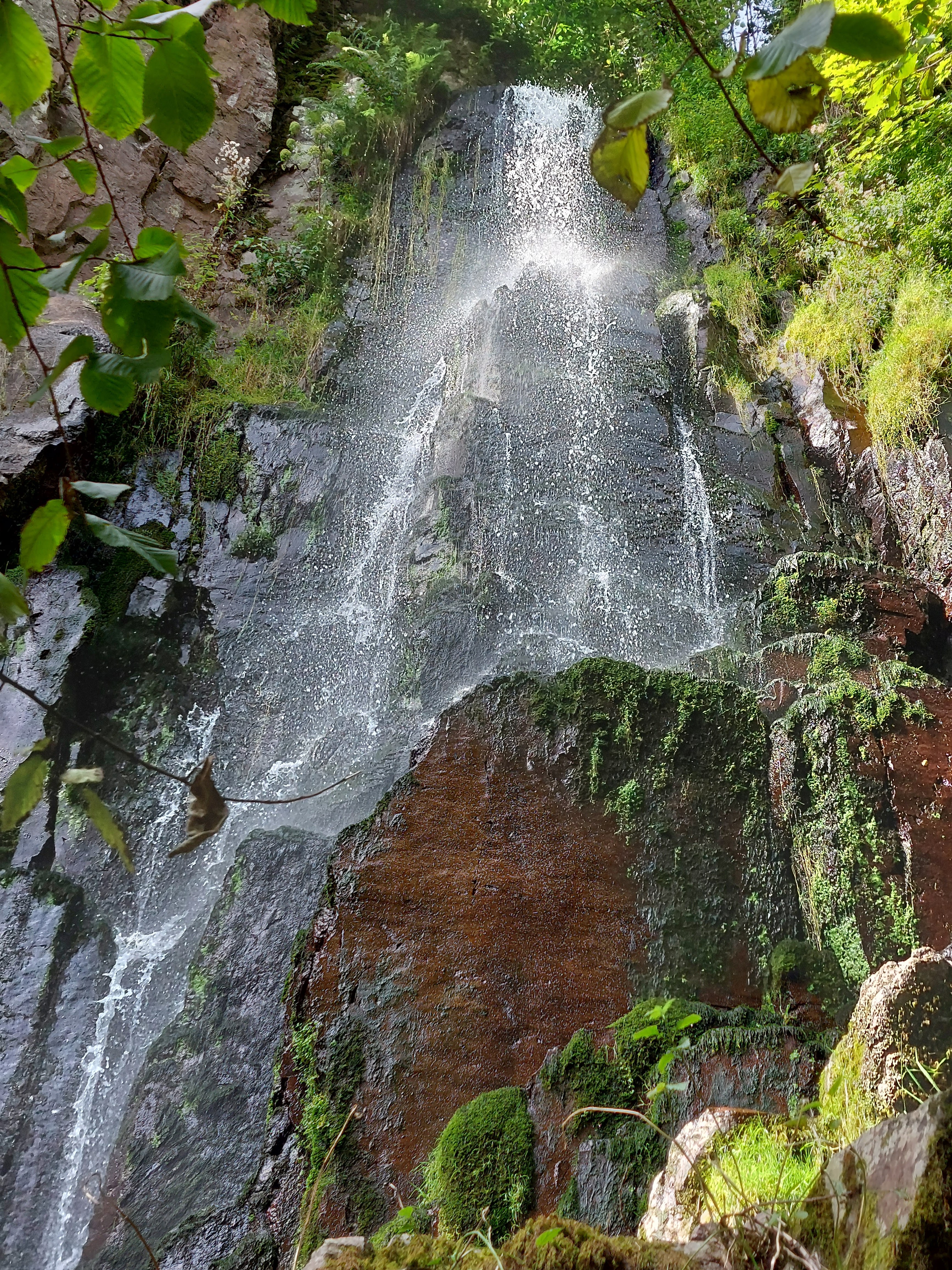 Photo n° 1 de l'avis de Yves.A fait le 11/09/2021 à 17:06