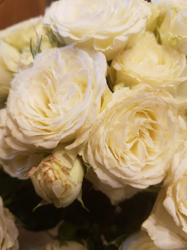 Florist «Convention Floral», reviews and photos, 5932 3rd St NW, Washington, DC 20011, USA