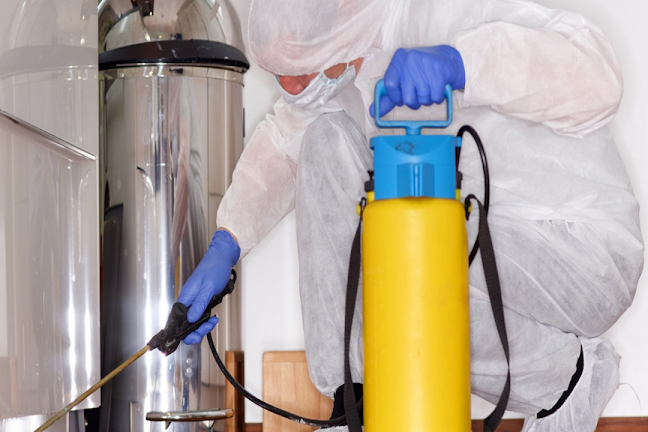 Opinii despre Deratyzacja, Dezynfekcja, Dezynsekcja Robert Motta în Opole - Usługa sprzątania