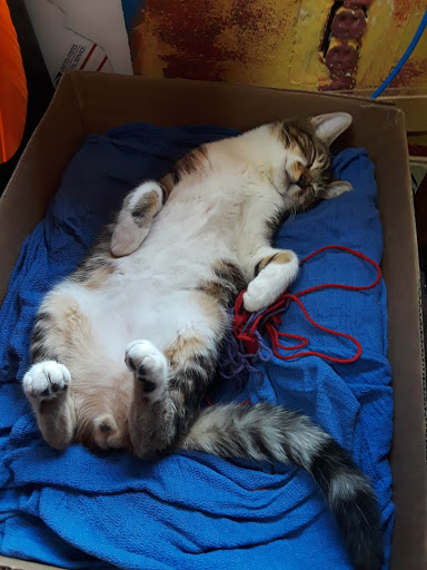 Art Supply Store «Artist & Craftsman Supply Miami», reviews and photos, 701 NW 27th Ave, Miami, FL 33125, USA