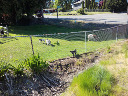 Grocery Store «Southworth Grocery», reviews and photos, 3985 Cherry St SE, Port Orchard, WA 98366, USA