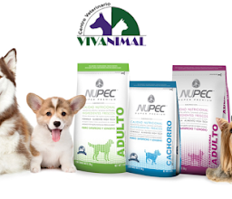 VETERINARIA VIVANIMAL \