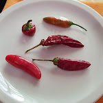 Photo n°4 de l'avis de Vincenzo.o fait le 20/09/2020 à 18:44 sur le  L 'Hotel - Restaurant Bosco Magnano à Magnano