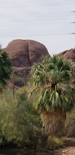 Park «Evelyn Hallman Park», reviews and photos, 1900 N College Ave, Tempe, AZ 85281, USA