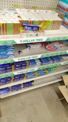Dollar Store «Dollar Tree», reviews and photos, 646 Stewart Ave, Garden City, NY 11530, USA