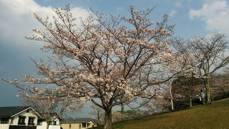 判田台南公園