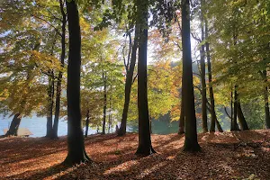 Lagow-Sulecinski Landscape Park image
