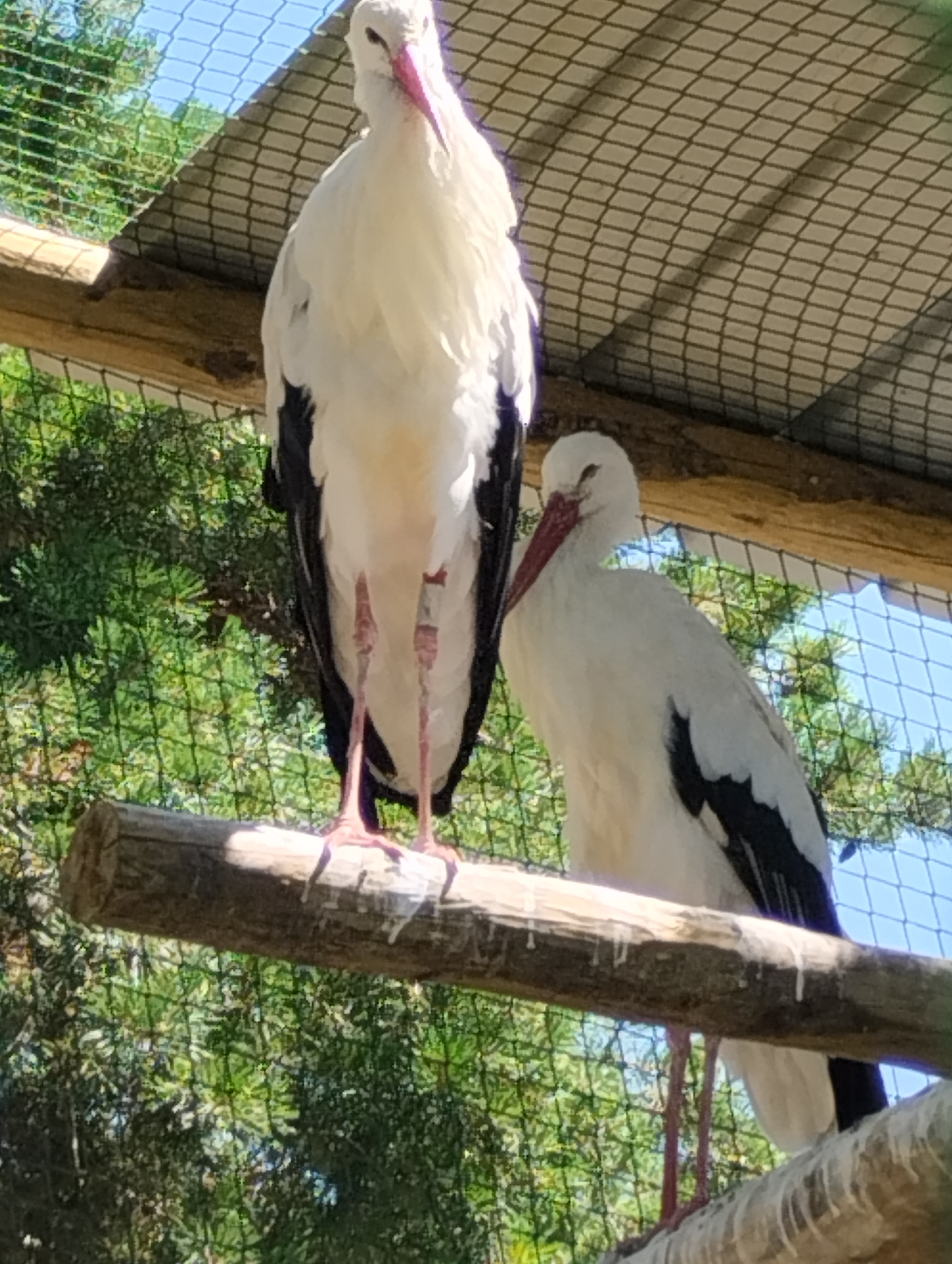 Photo n° 2 de l'avis de Henri.u fait le 27/07/2023 à 08:09