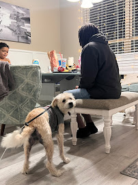 Jones Family Dog Sitting - Photo 2 - Car repair in Magnolia, TX, The Woodlands