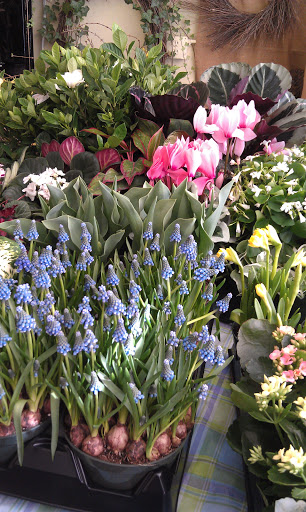 Florist «Flower Market», reviews and photos, 625 5th Ave W, Hendersonville, NC 28739, USA